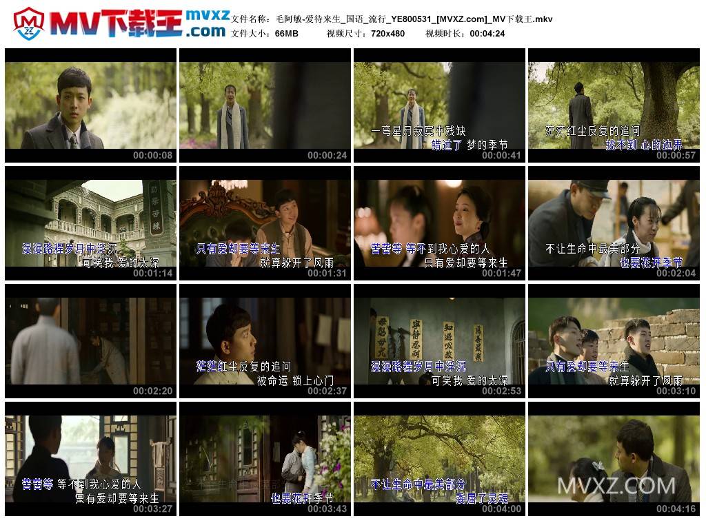 毛阿敏-爱待来生_国语_流行_YE800531